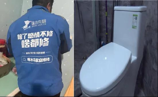 报价156元，实收1780元！ 啄木鸟维修“坑哭”女子，投诉量一年暴涨69%，董事长“明白消费”成笑话